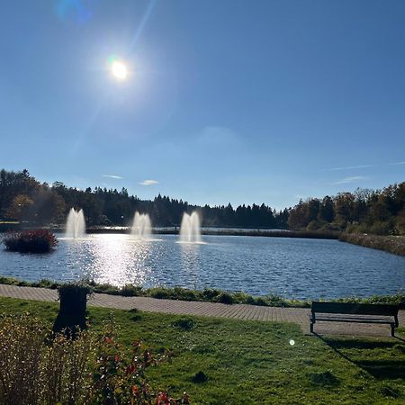 Appartement Ausblick Goslar Zewnętrze zdjęcie