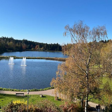 Appartement Ausblick Goslar Zewnętrze zdjęcie