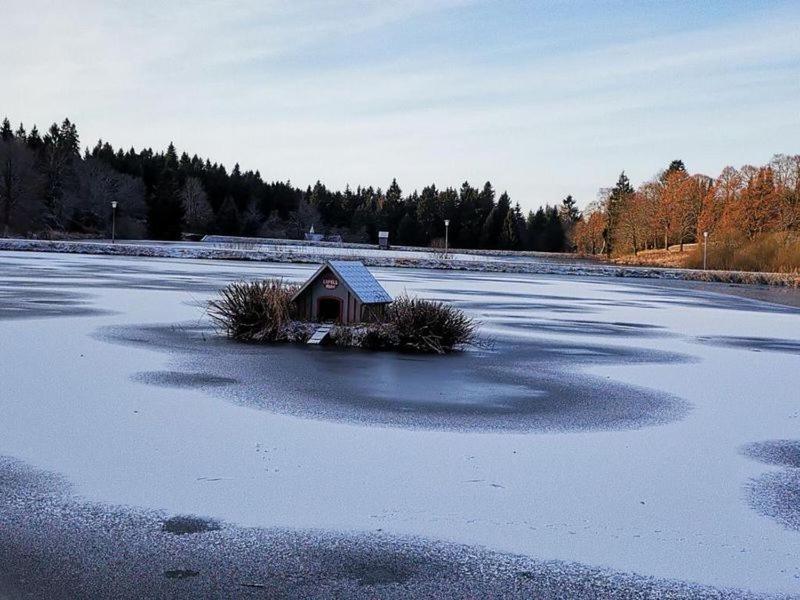 Appartement Ausblick Goslar Zewnętrze zdjęcie