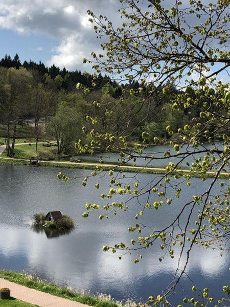 Appartement Ausblick Goslar Zewnętrze zdjęcie