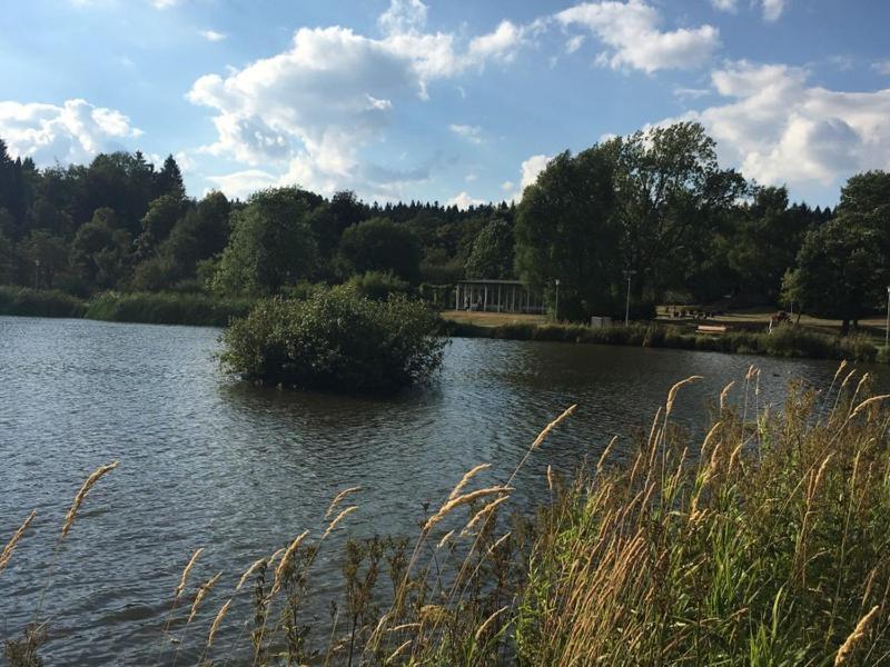 Appartement Ausblick Goslar Zewnętrze zdjęcie